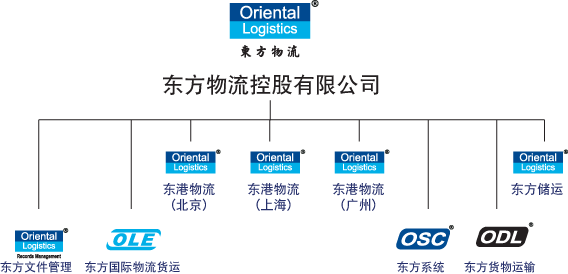 Organization_chart